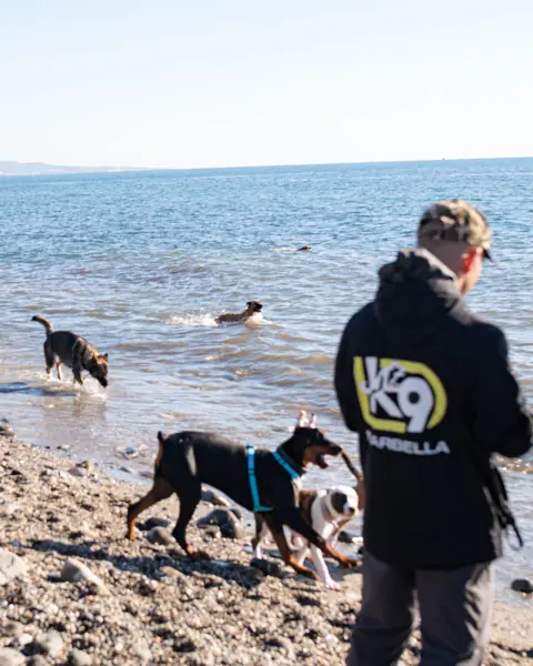 Adiestrador de K9 Marbella con perros en la playa de Marbella