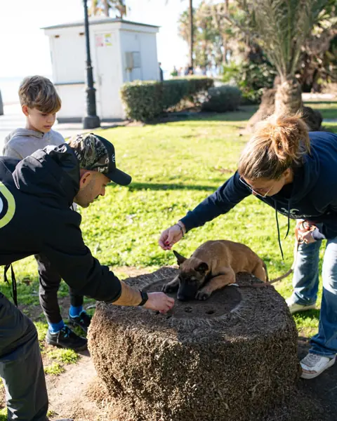 Cachorro aprendiendo sus primeras órdenes con un adiestrador
