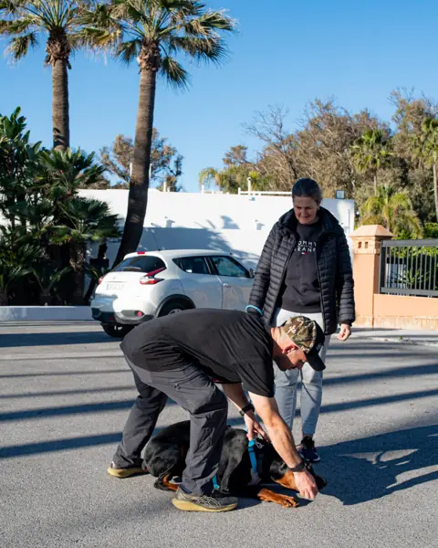 Clase privada de adiestramiento canino en una calle de Marbella