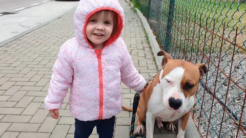 Niña paseando con su perro tranquilo